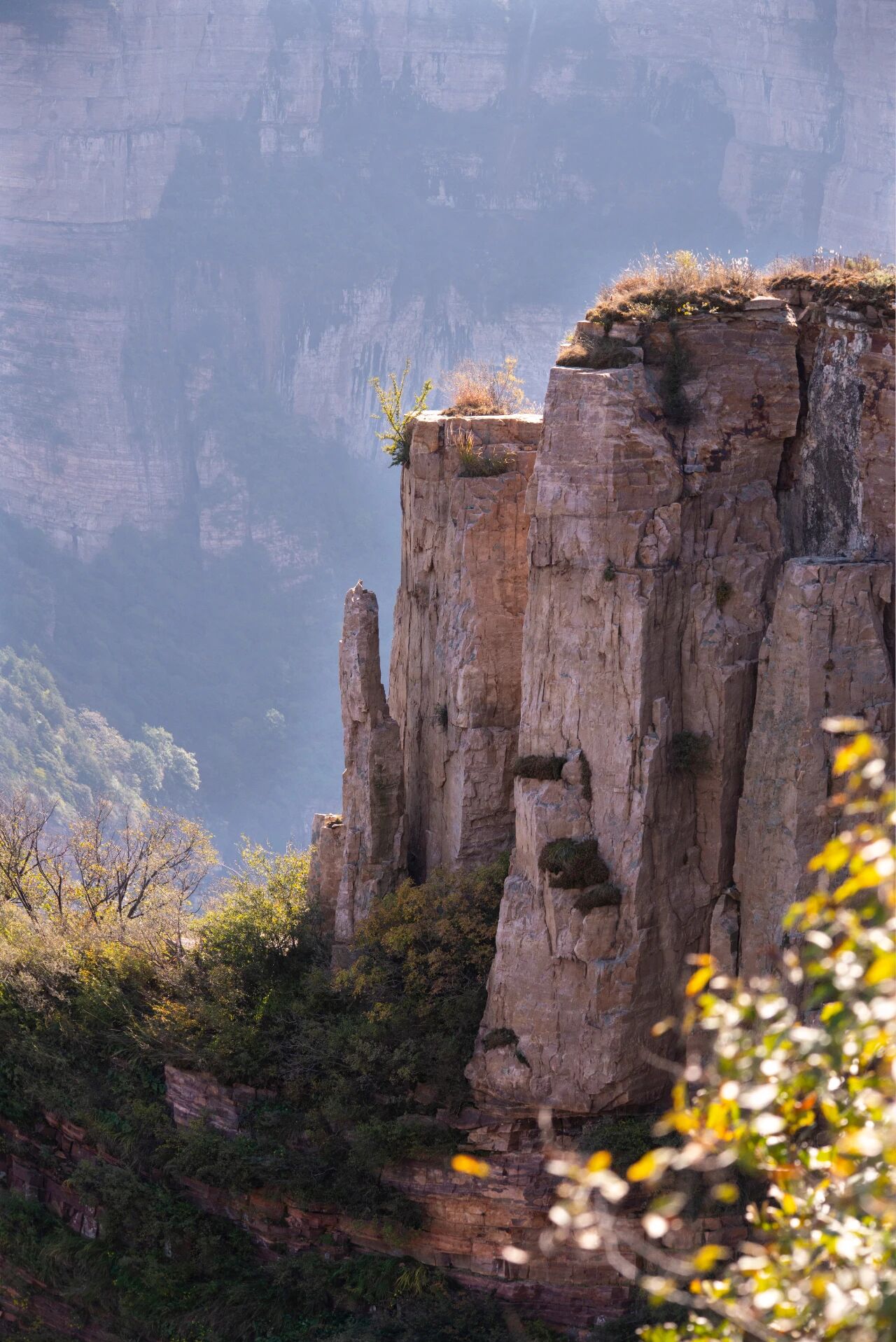 微信图片_2025-11-10_082117_536