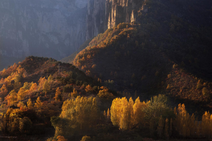 微信图片_2025-11-21_113554_319