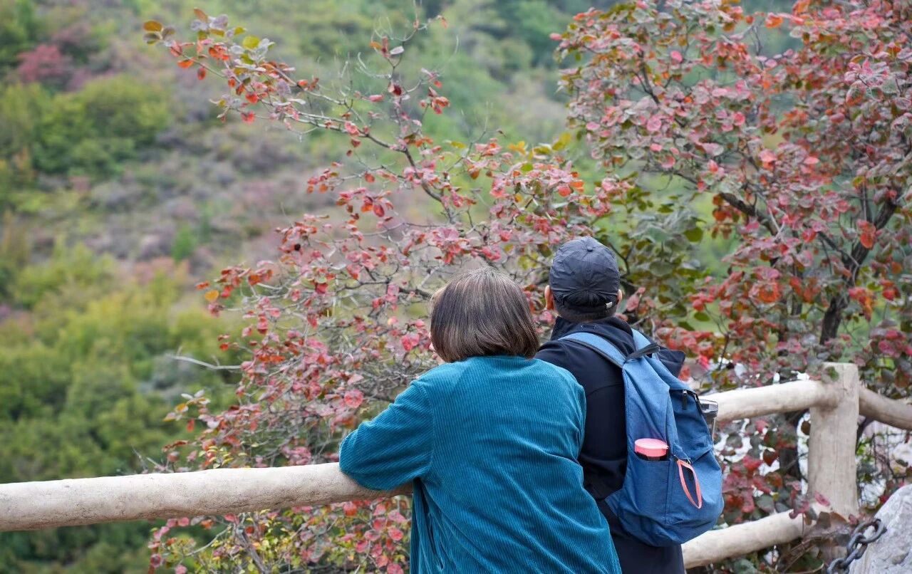 微信图片_2025-11-03_104025_980