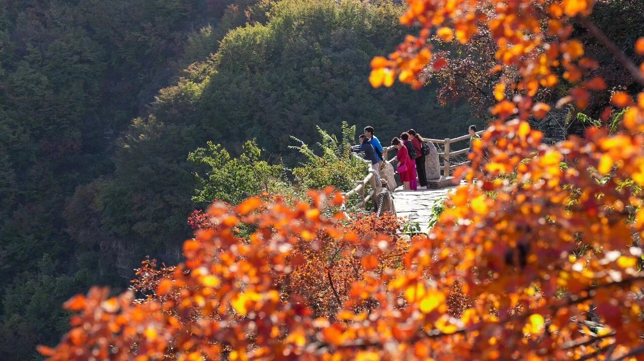 微信图片_2025-10-10_174728_792