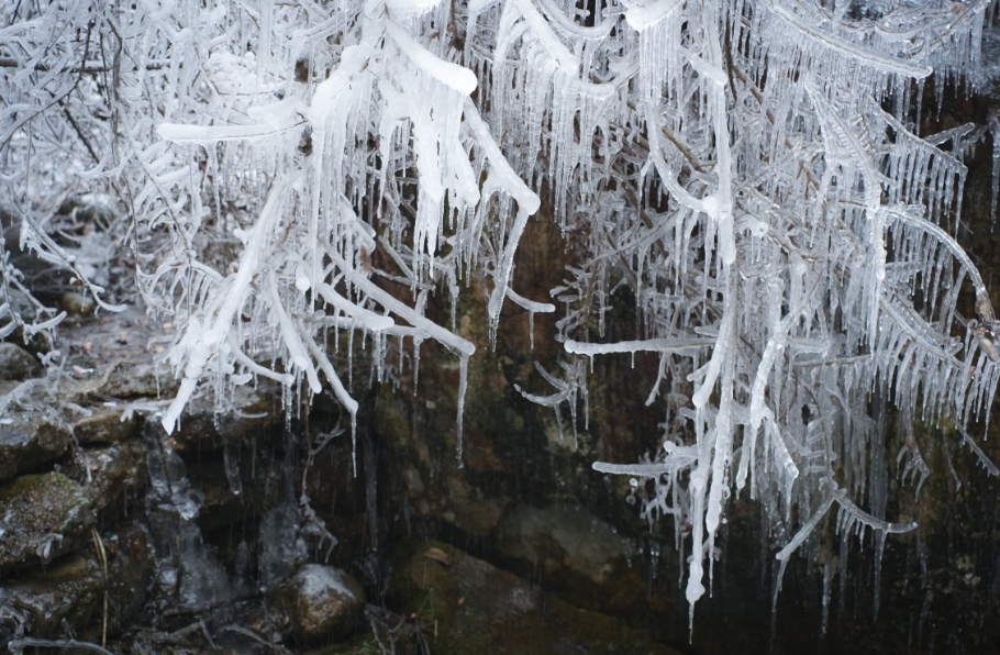 微信图片_2025-12-31_154237_740