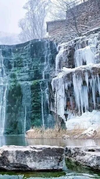 微信图片_2025-12-31_142801_923