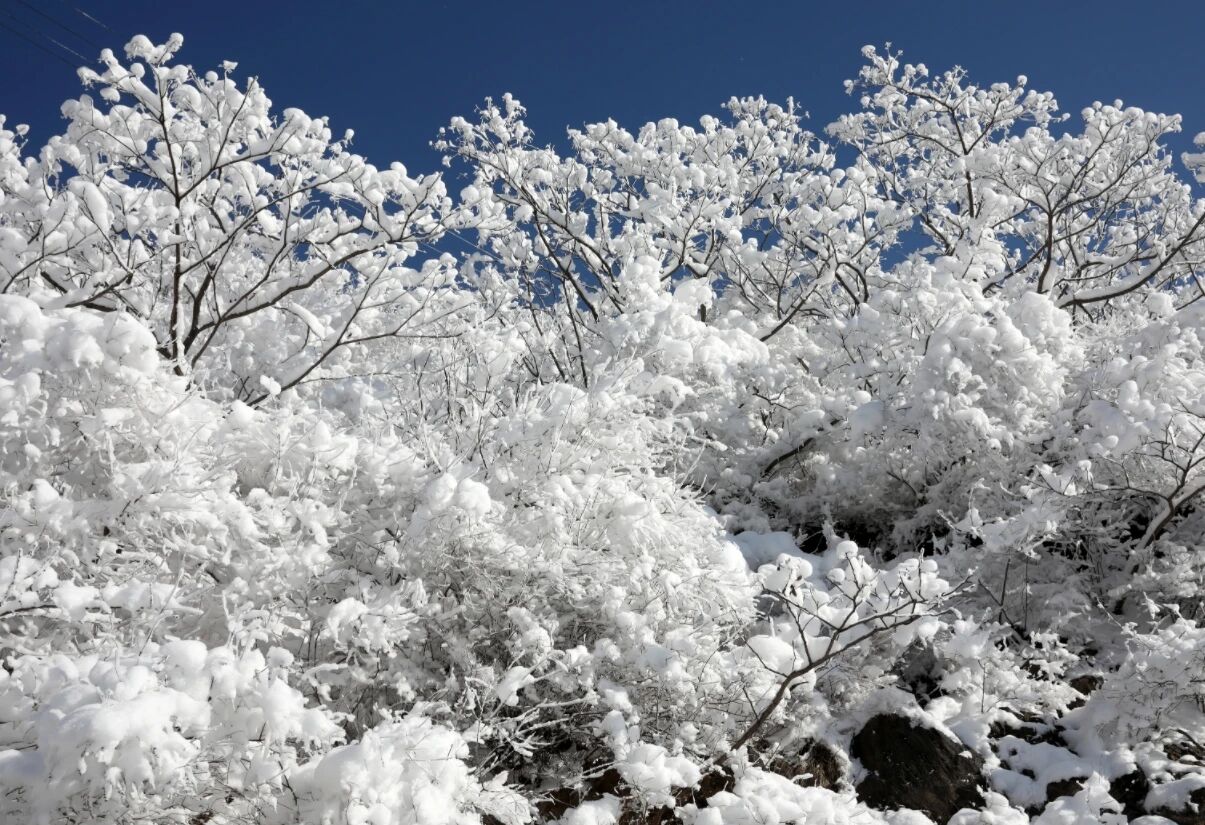 微信图片_2026-01-04_091120_451