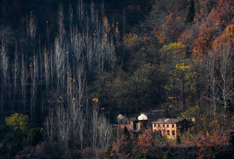 微信图片_2025-12-02_091235_121