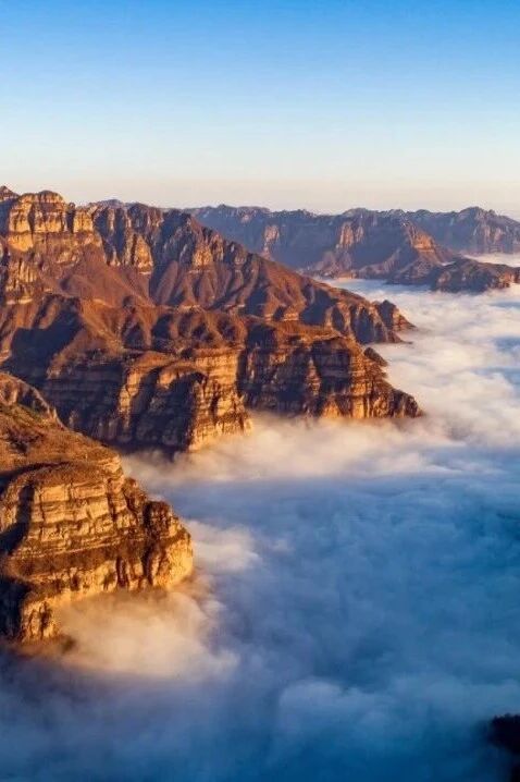 微信图片_2026-01-10_161029_449