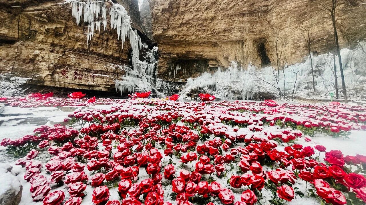 微信图片_2026-02-07_090823_310