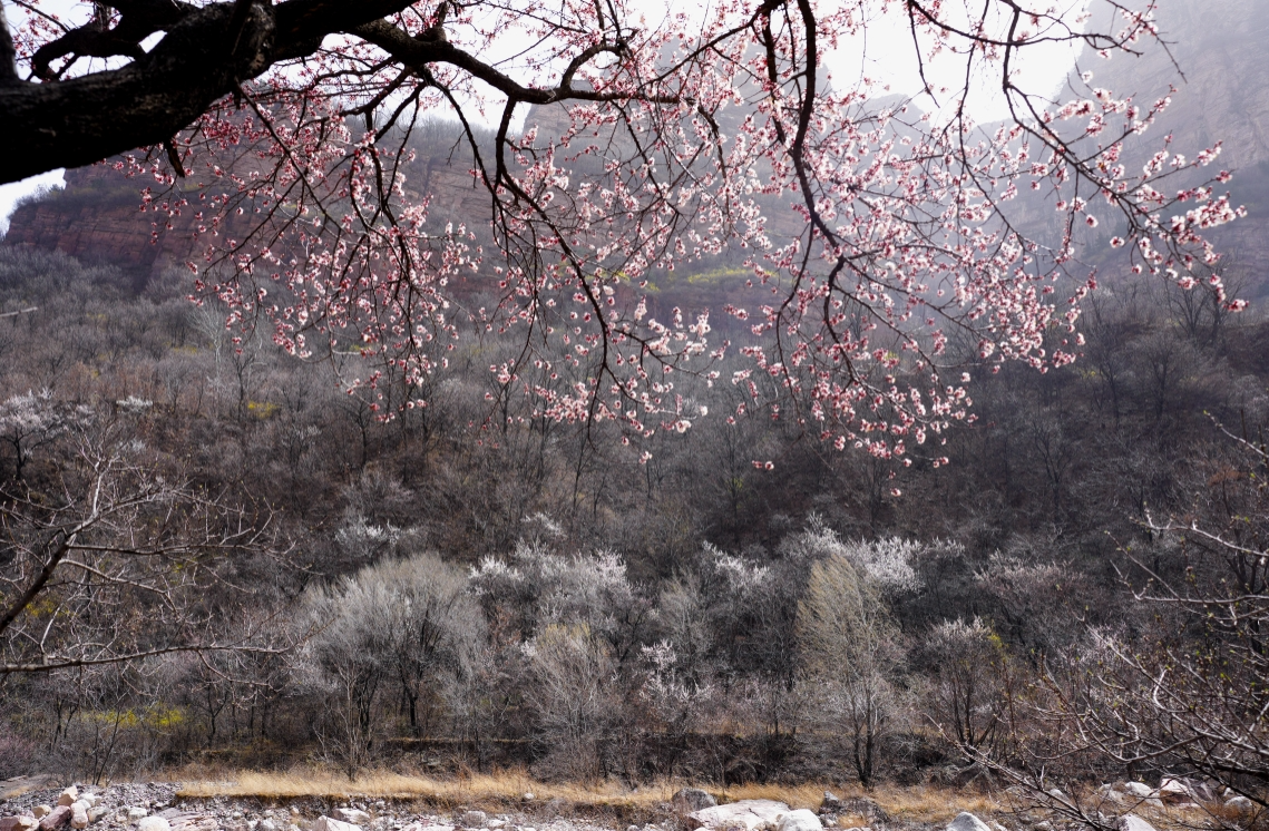 微信图片_2026-03-02_142657_215