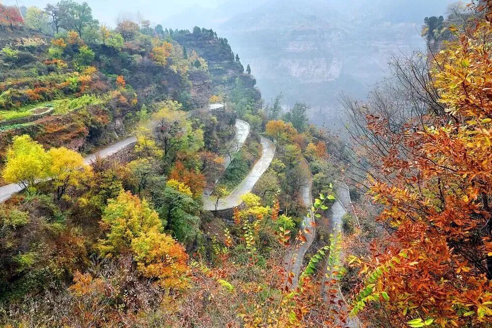 微信图片_2026-02-26_084330_828