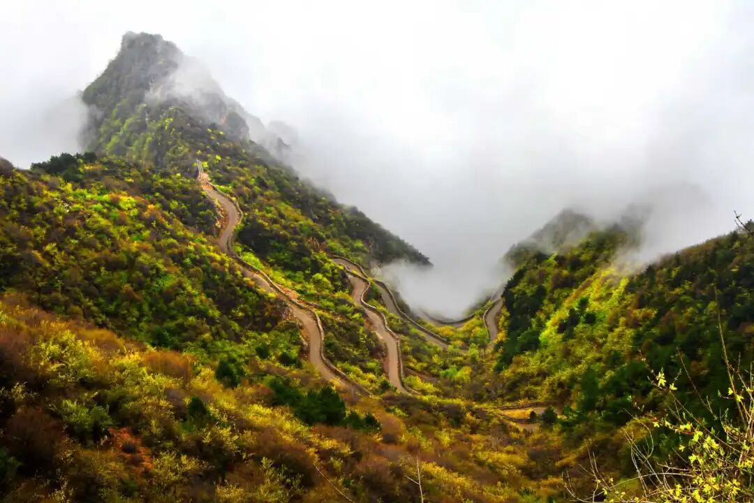 微信图片_2026-03-10_084336_104