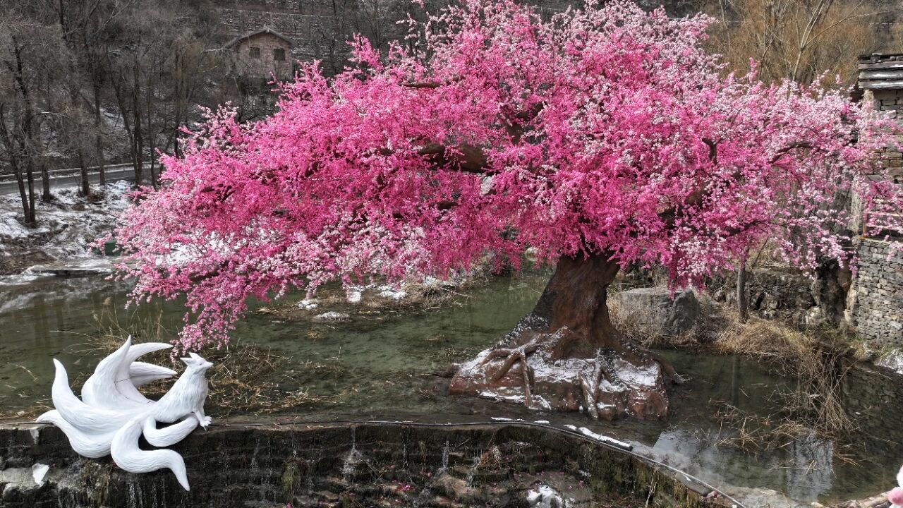 微信图片_2026-02-24_150000_936