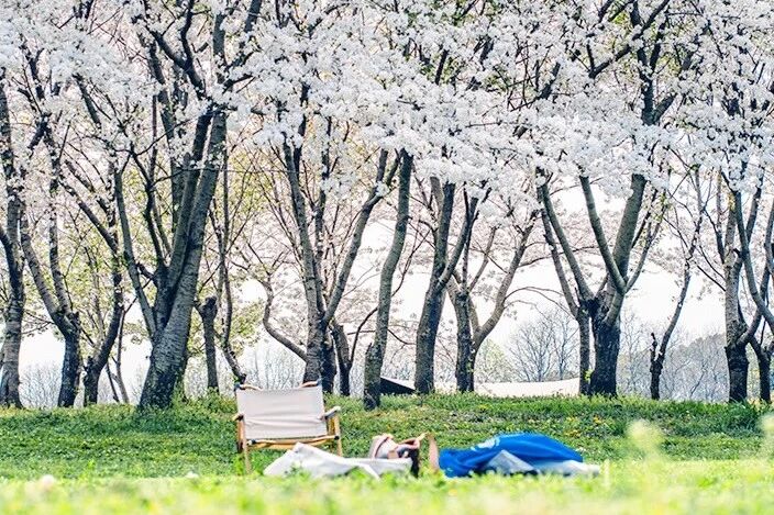 微信图片_2026-03-09_093846_788