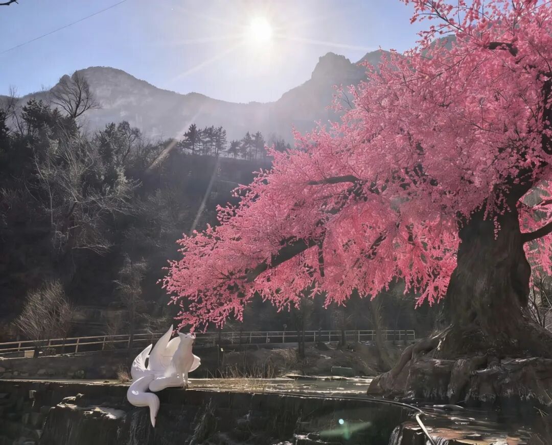 微信图片_2026-03-09_095119_908