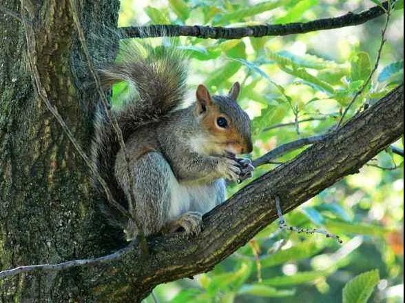 微信图片_20210708165654