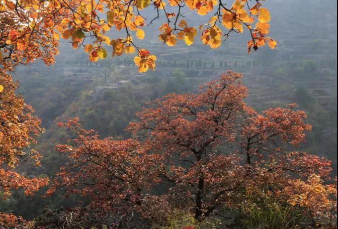 微信图片_20210821151507