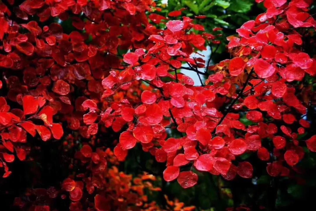 微信图片_20210816153532