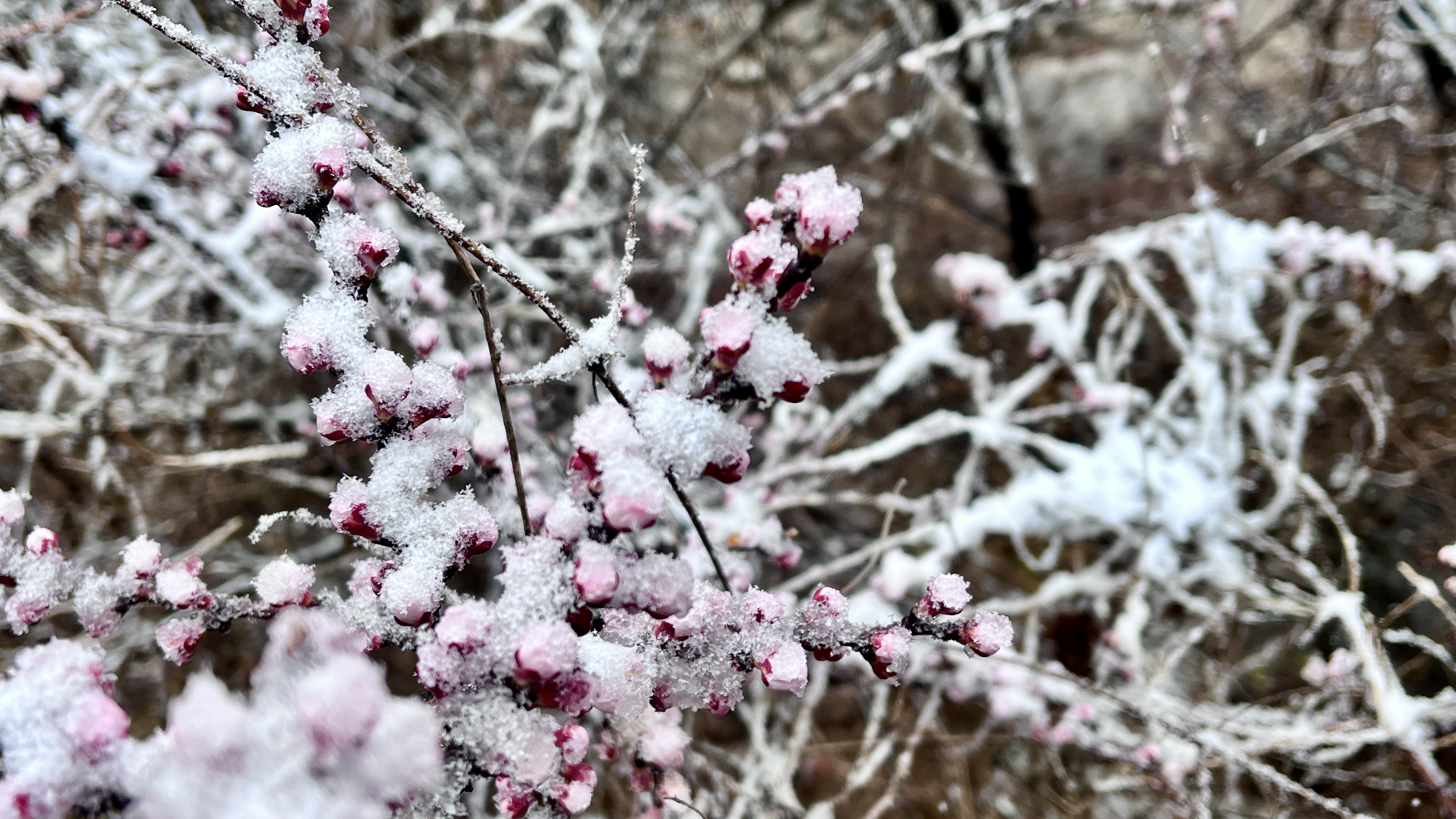 微信图片_20230317090449