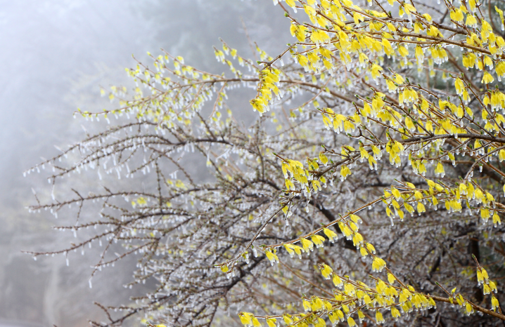 微信截图_20200416100505