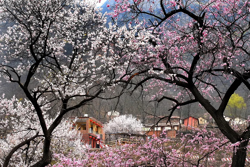 640 (3)_看图王.web