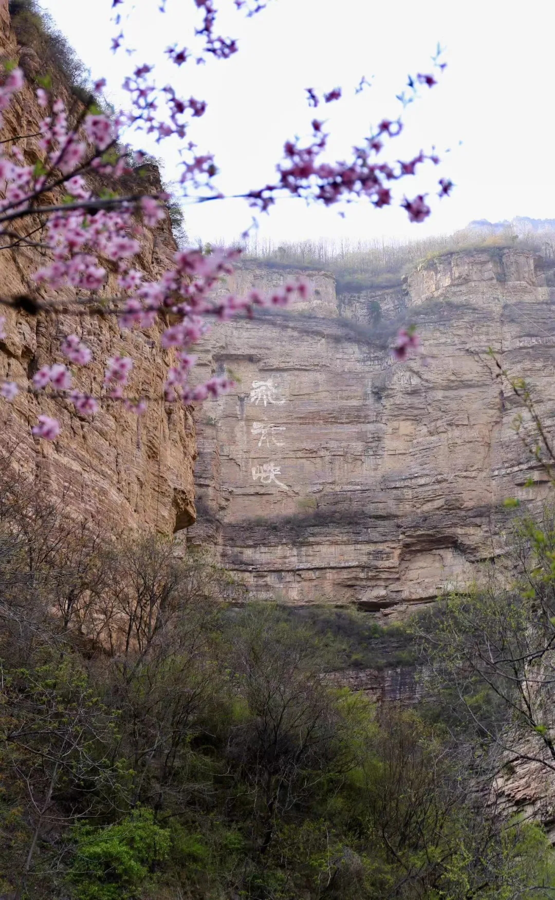 640 (8)_看图王.web(1)