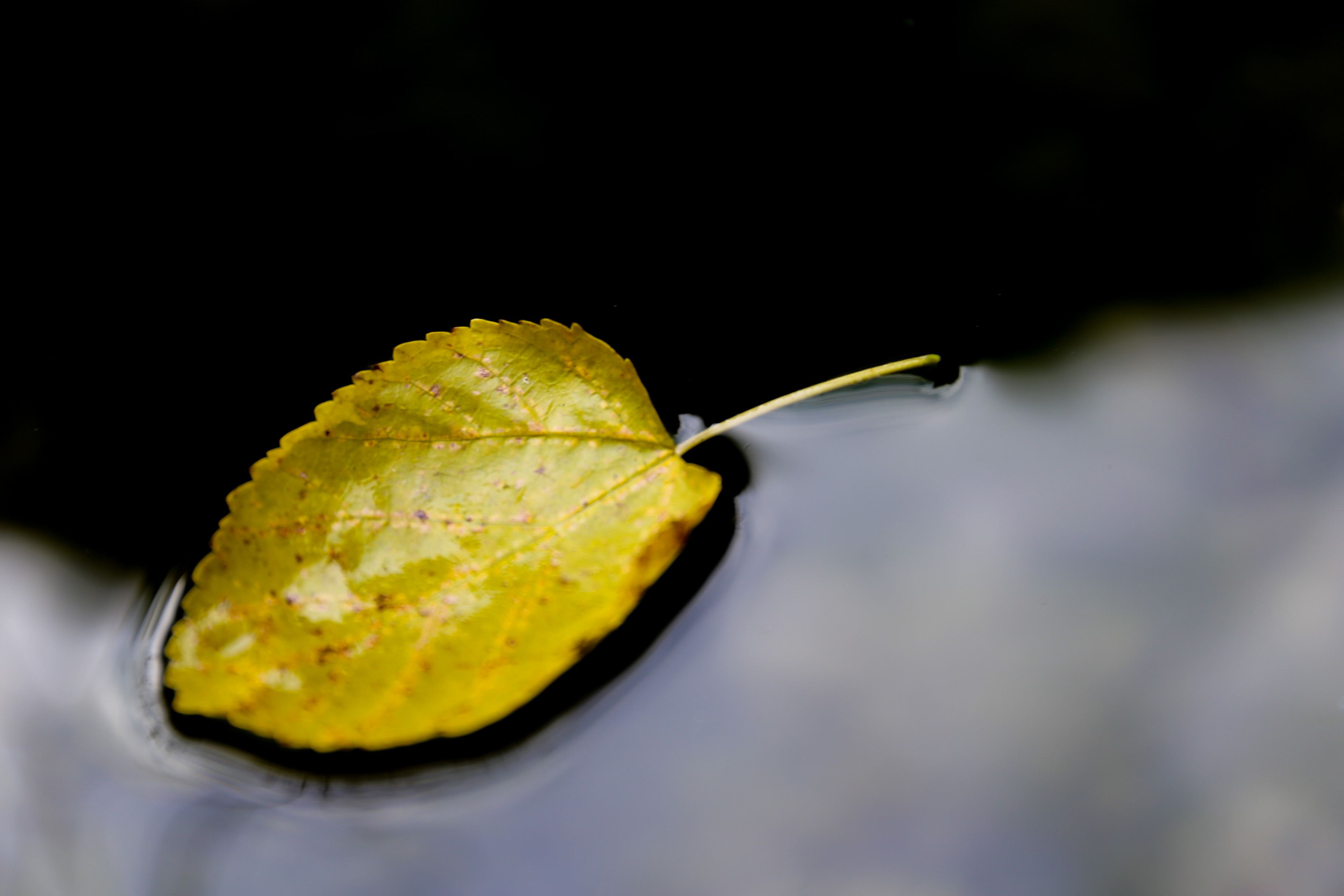 微信图片_20201115103150