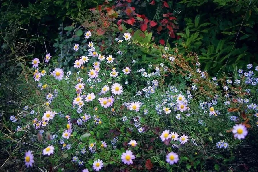 微信图片_2025-10-18_153711_466_看图王