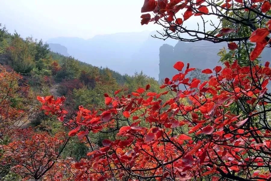 微信图片_2025-10-18_153641_427_看图王