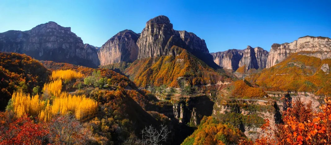 微信图片_2025-10-18_160220_501_看图王