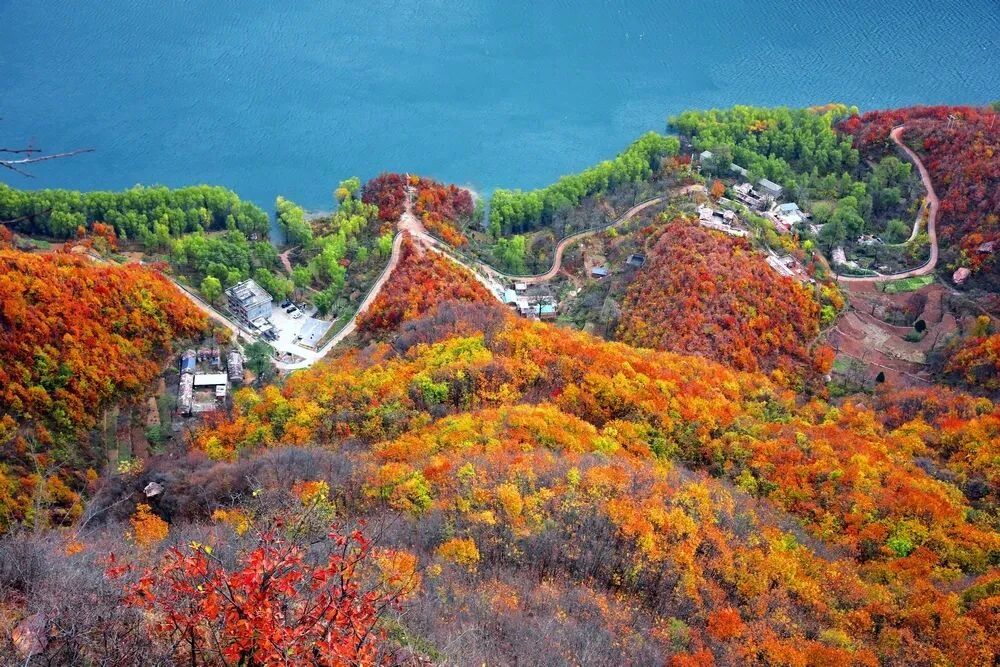 微信图片_2025-11-10_113712_813