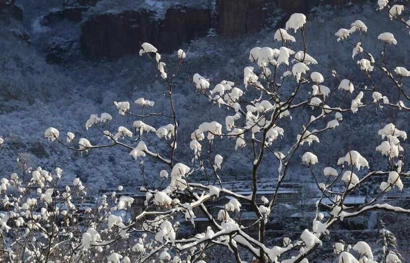 微信图片_2025-12-13_105319_120