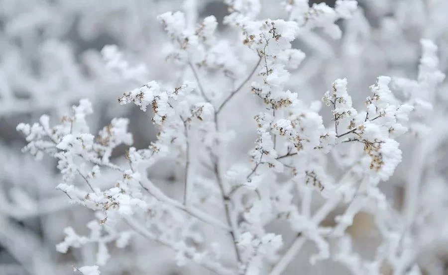 微信图片_2025-12-31_154222_310_看图王