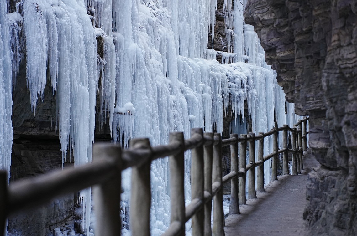 微信图片_2025-12-31_142807_404