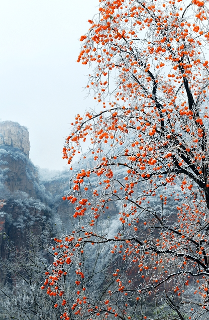 微信图片_2026-01-12_115225_389