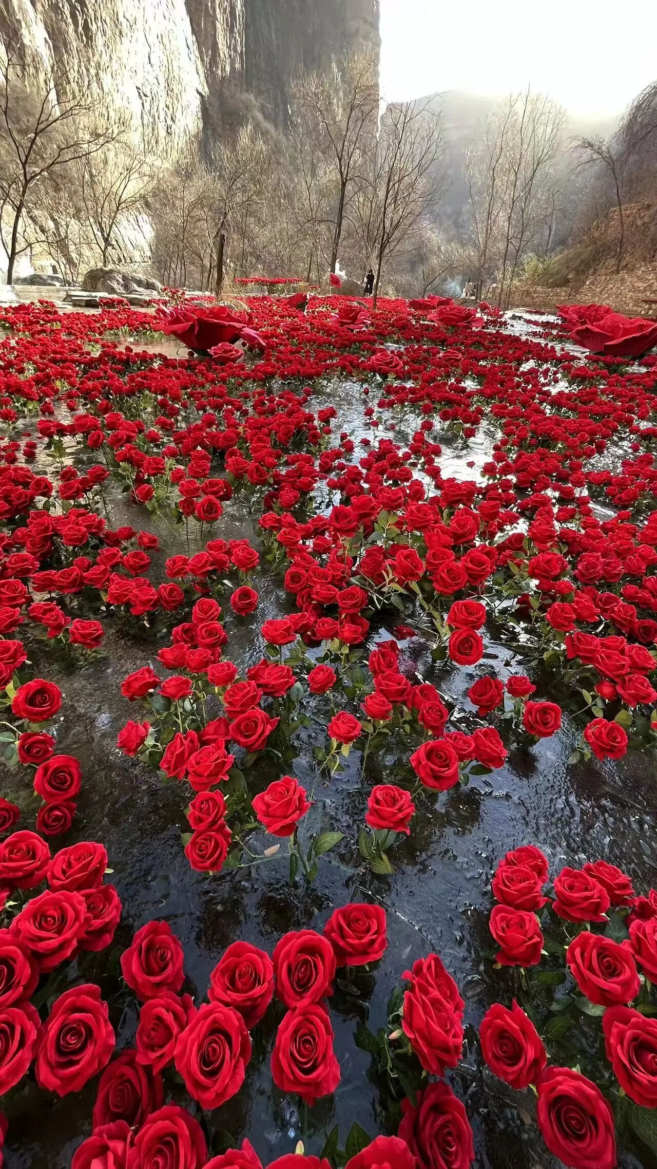 微信图片_2026-01-15_120131_414