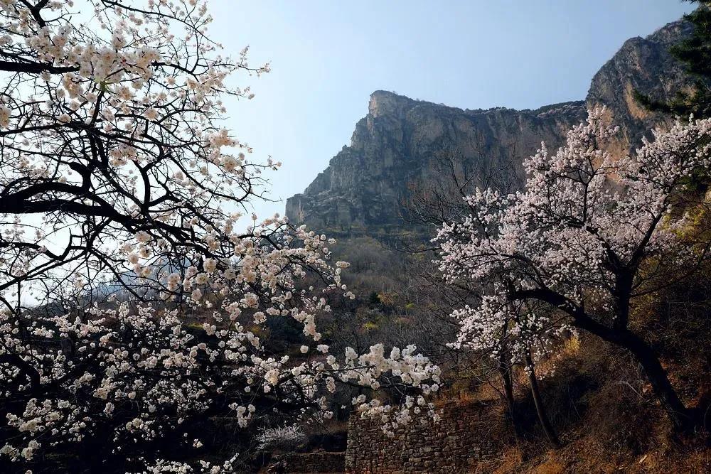 微信图片_20210317092407