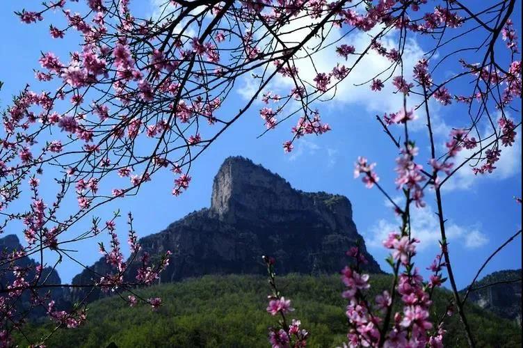 微信图片_20210413171052