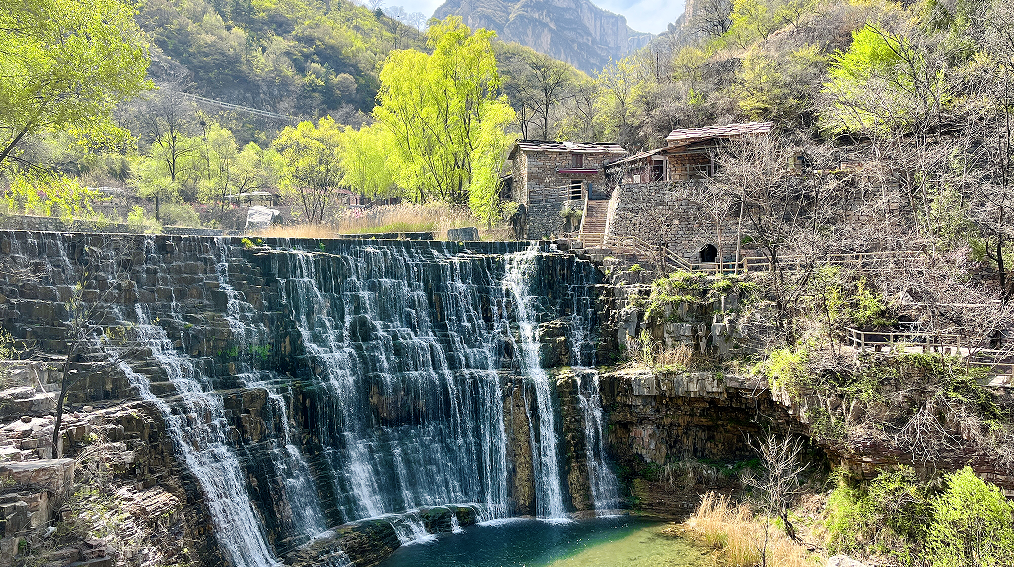 微信图片_2026-01-26_170803_370