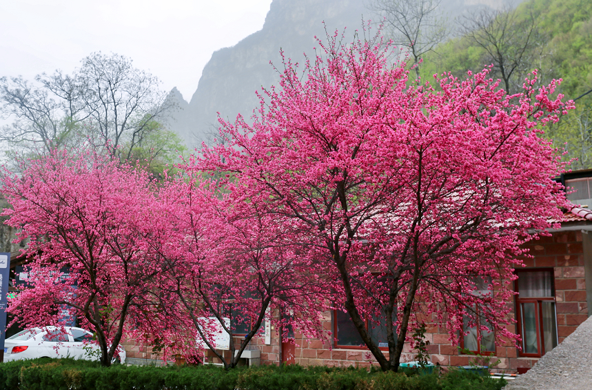 微信图片_2026-04-07_173513_969