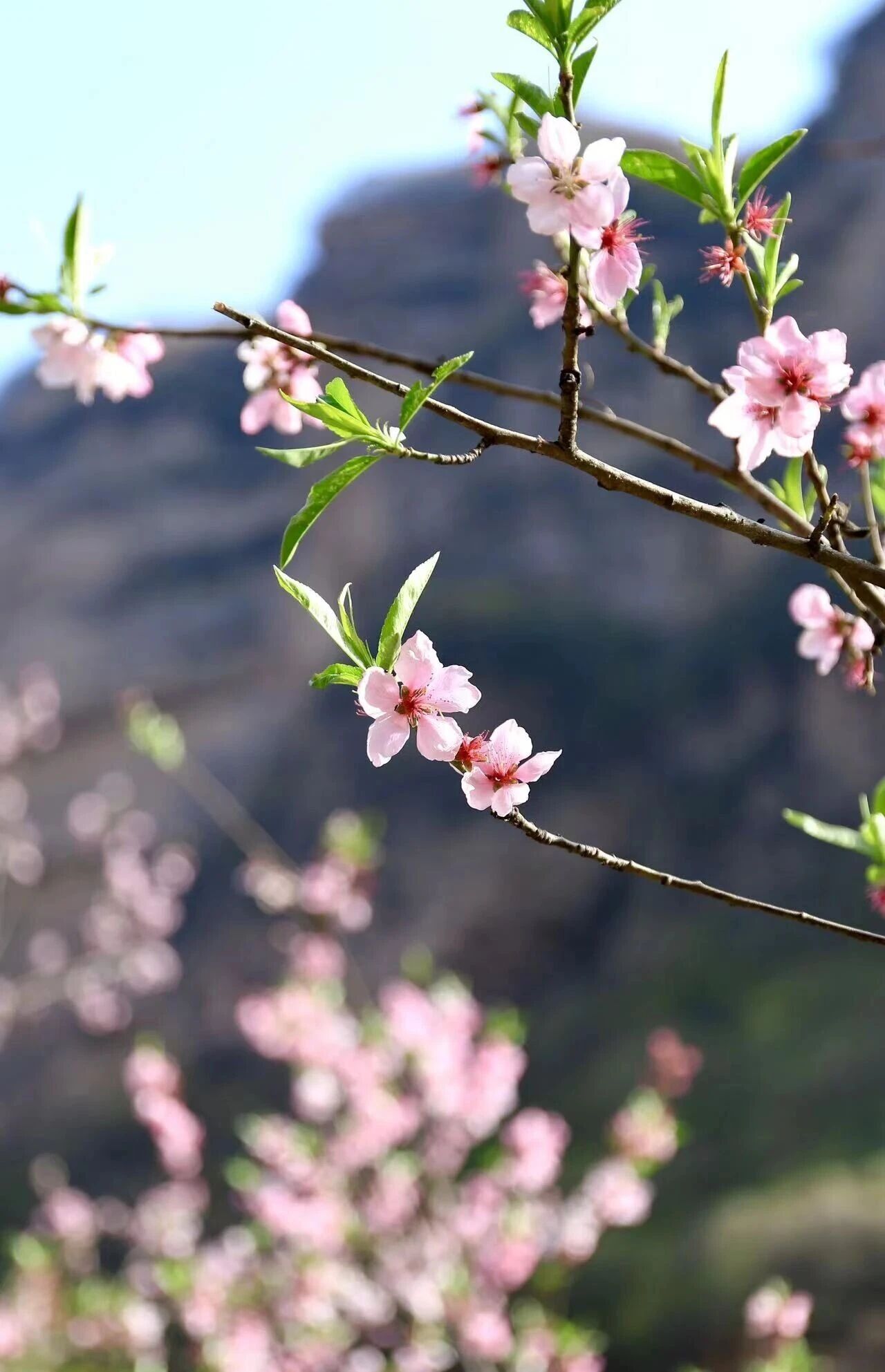 微信图片_2026-03-10_084327_880