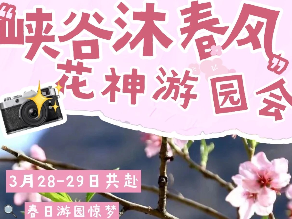 峡谷沐春风 花神游园会|林州太行大峡谷花神节，春日浪漫不打烊~
