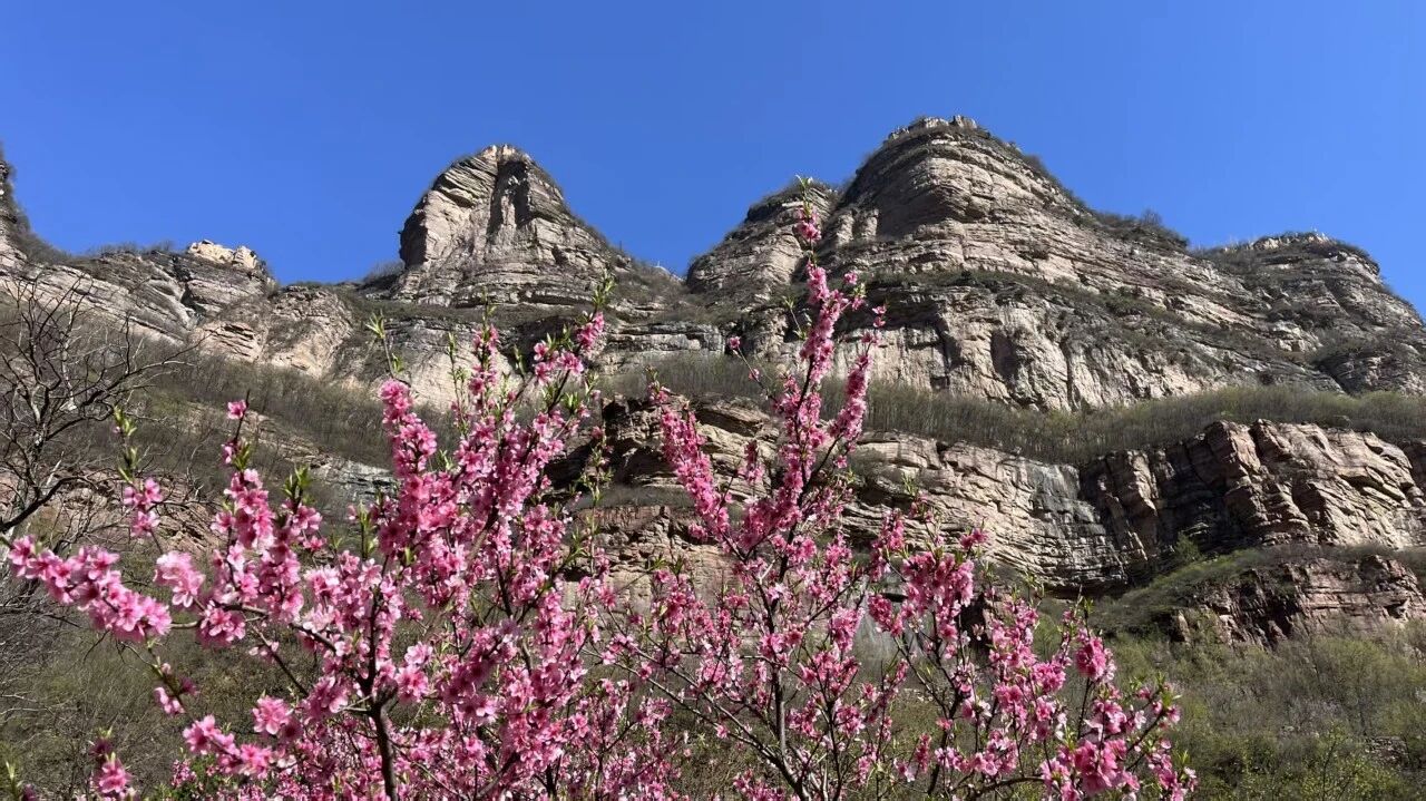 微信图片_2026-04-09_172928_177