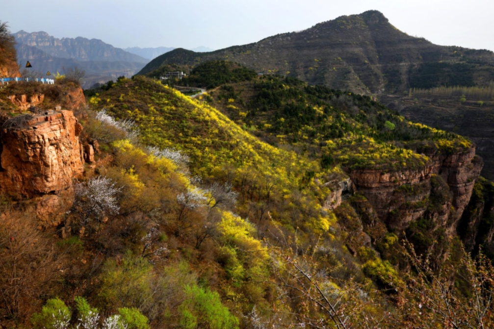 微信图片_2026-04-09_172933_775