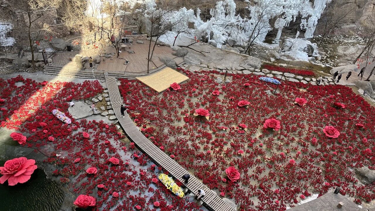 微信图片_2026-02-24_172936_897