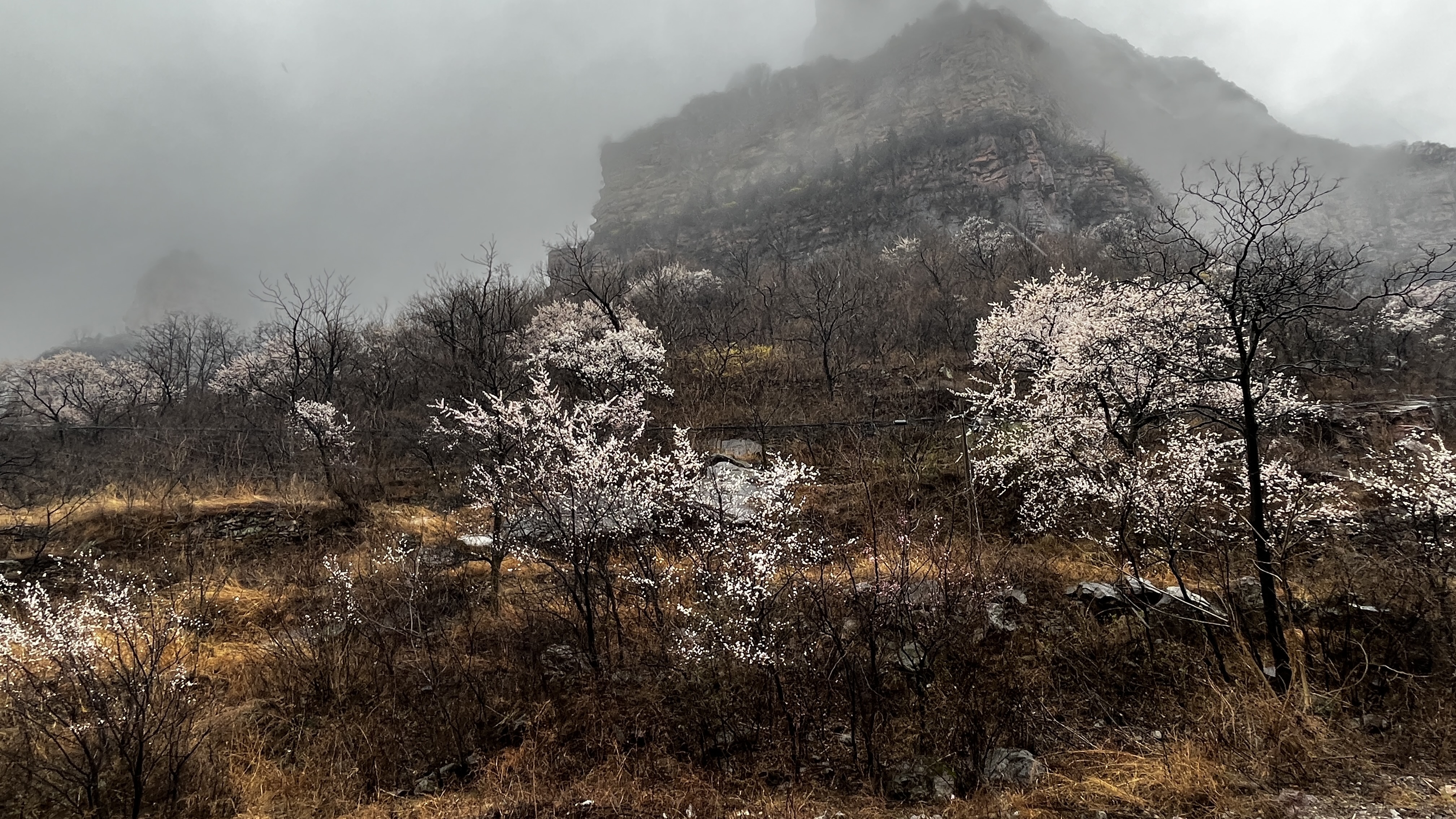 微信图片_20230317090111