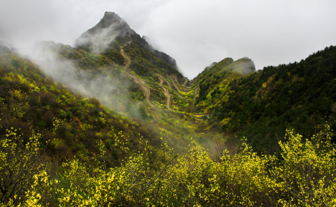 微信截图_20200416100757