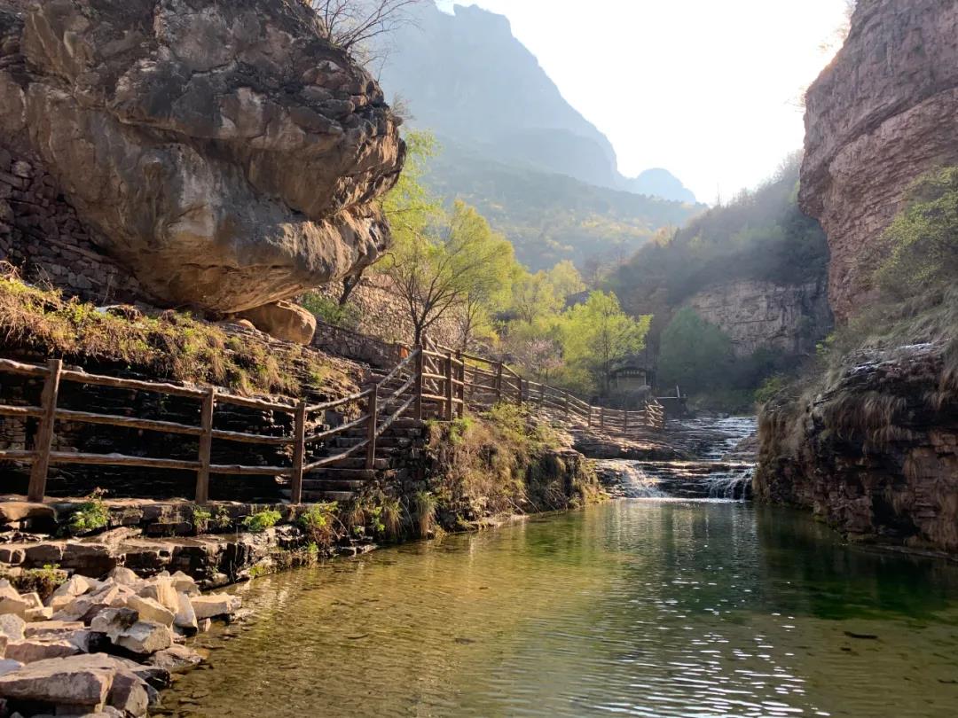 微信图片_20200415085326