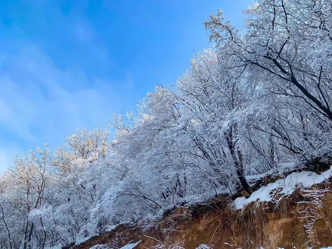 640 (4)_看图王.web