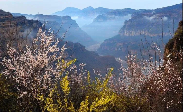 640 (7)_看图王.web