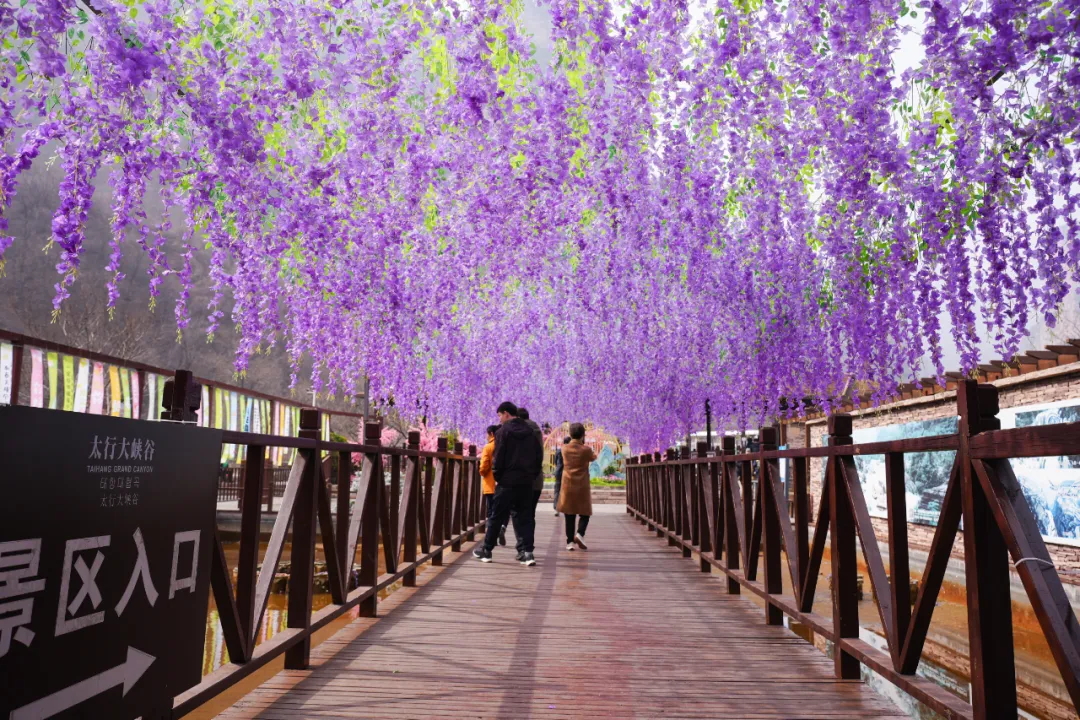 640 (7)_看图王.web