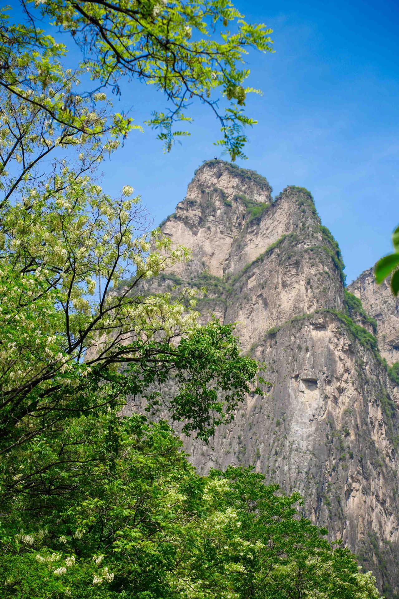 微信图片_20250522095937