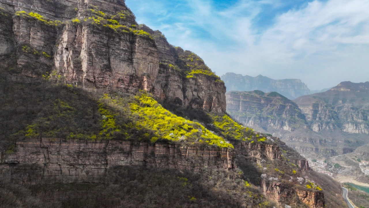 微信图片_20250425085221